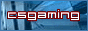 CSGaming