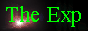 The Experience